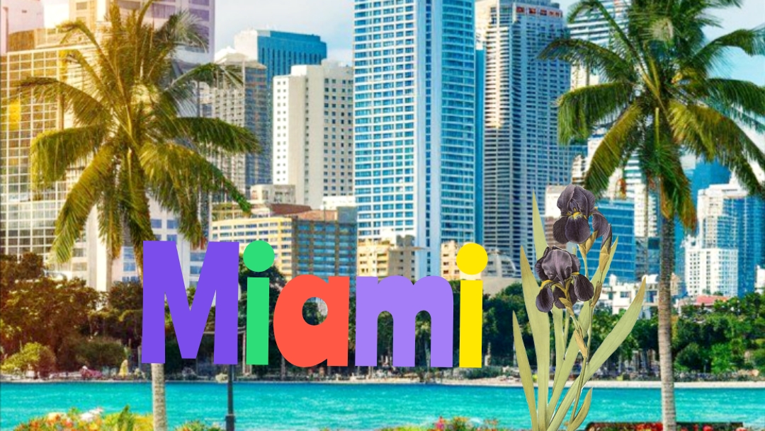 Miami interesting facts