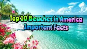 Read more about the article Top 10 Beaches in America Important Facts