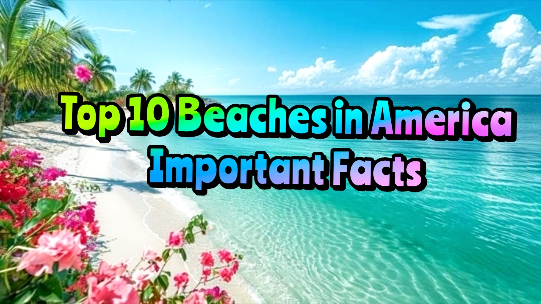 Read more about the article Top 10 Beaches in America Important Facts