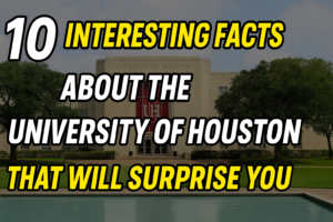 Read more about the article Interesting facts about university of houston