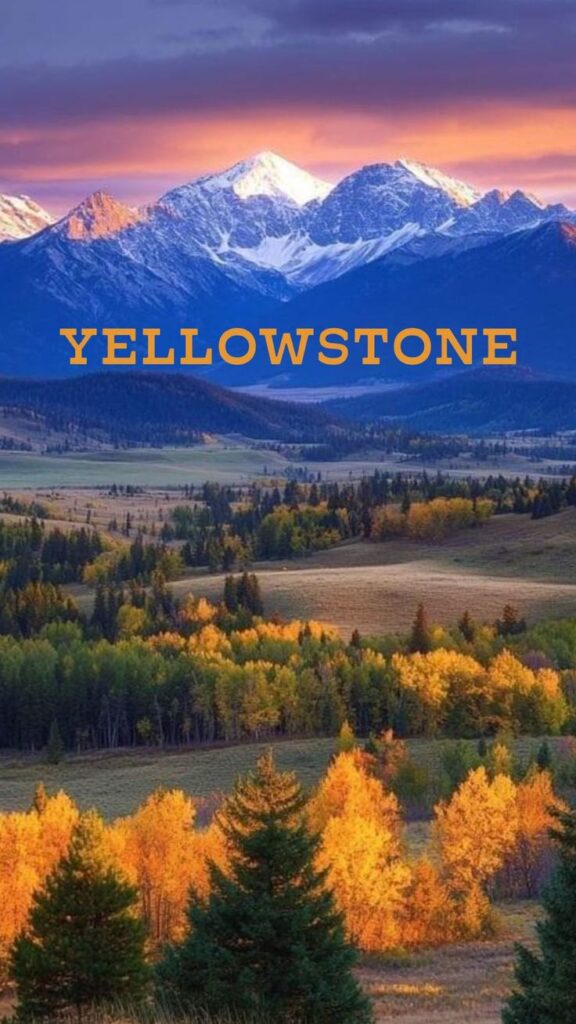 1000193305 Yellowstone National Park