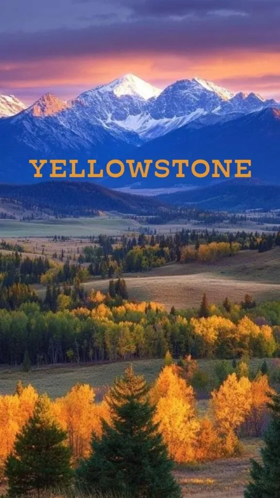 1000193305 Yellowstone National Park