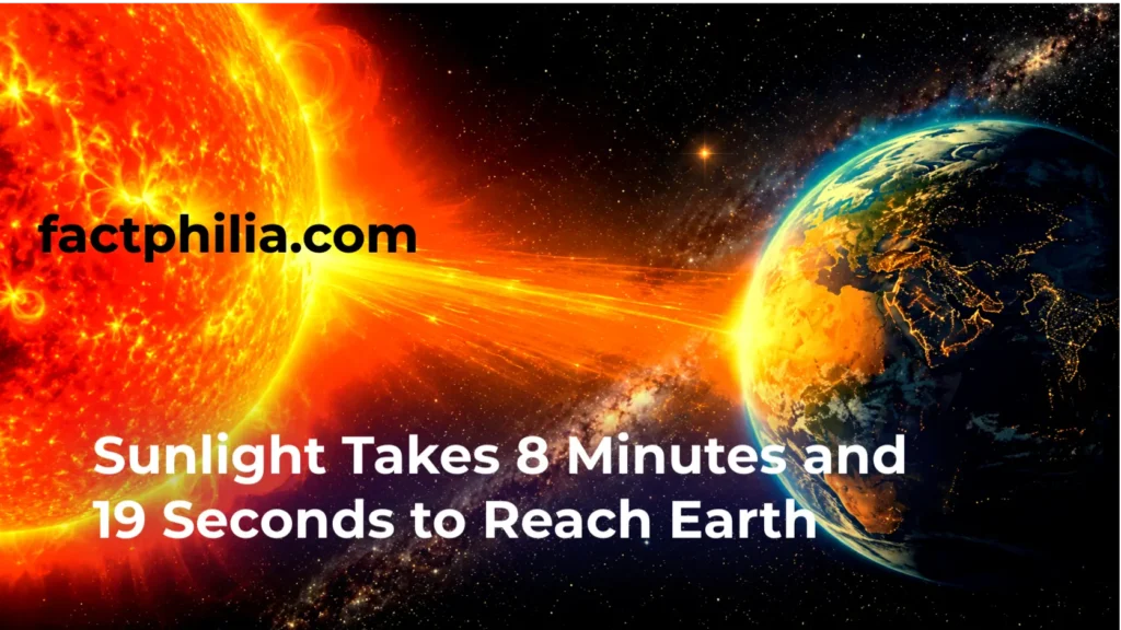 Sunlight Takes 8 Minutes and 19 Seconds to Reach Earth
